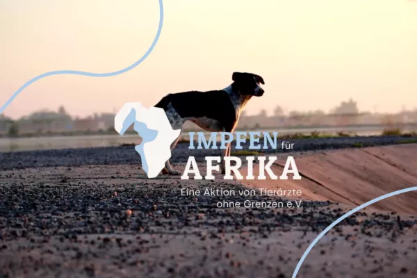 Impfen für Afrika