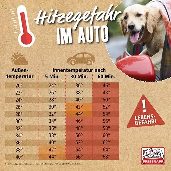 Hitzegefahr im Auto 🥵🚗